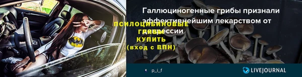 дурь Белоозёрский