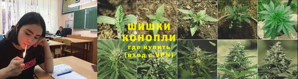 стафф Белокуриха